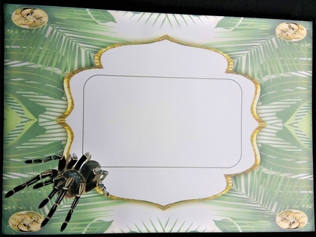 Great Escape - Tarantula by Margarette Blakeborough