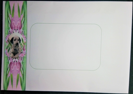 Pretty Card for Lots of Occasions #2 by Margarette Blakeborough