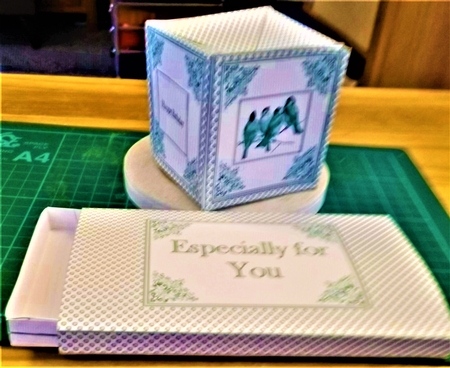 Cute birds pop-up box card with matching sleeve and optional envelope. by Margarette Blakeborough
