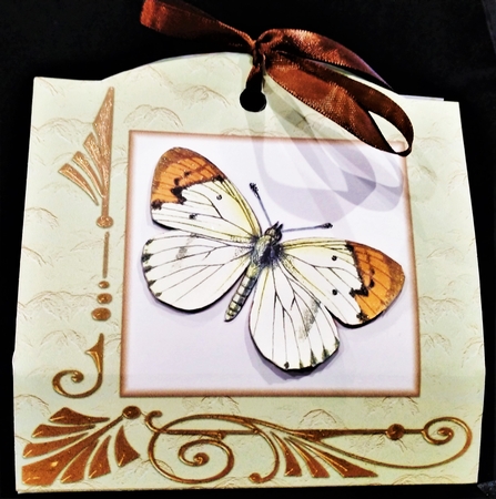 Butterfly Tag Gift Box by Margarette Blakeborough