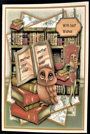 Male Card Wise Owl MinI Kit by Margarette Blakeborough