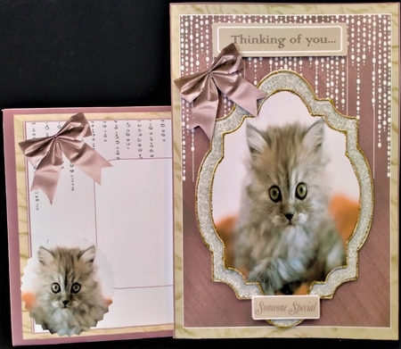 HERE KITTY KITTY ( second cutest kitten ever ! ) by Margarette Blakeborough