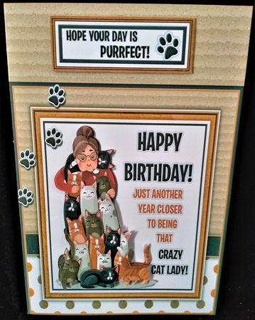 Crazy Cat Lady by Margarette Blakeborough