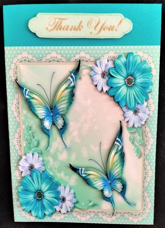 Beautiful Aqua Butterflys and Daisys  by Margarette Blakeborough