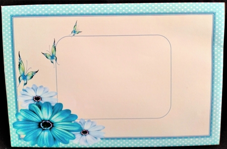 Beautiful Aqua Butterflys and Daisys  by Margarette Blakeborough