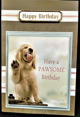 Pawsome by Margarette Blakeborough