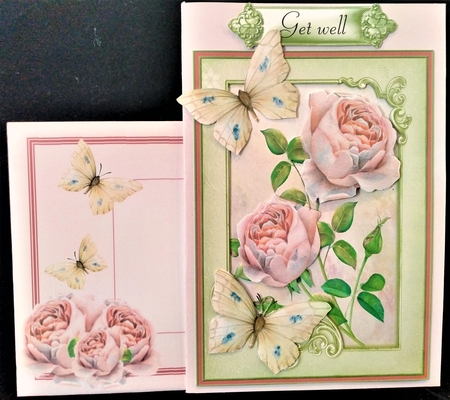 Blush rose and butterfly 5x7 by Margarette Blakeborough