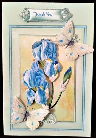 Iris and butterfly 5x7 by Margarette Blakeborough