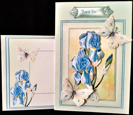 Iris and butterfly 5x7 by Margarette Blakeborough