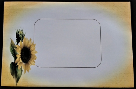 The Framed Sunflower by Margarette Blakeborough