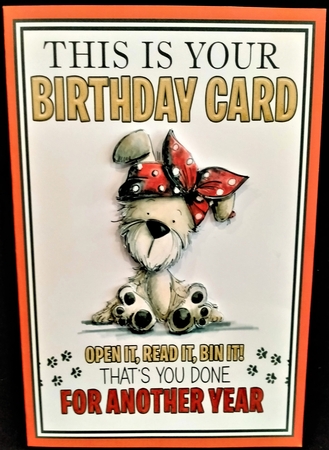 Open it, Read it, Bin it! by Margarette Blakeborough