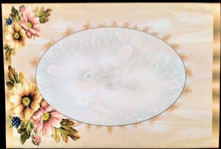 Happy Birthday Little Hedgehog Mini Kit by Margarette Blakeborough