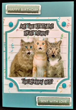 ARE YOU KITTEN ME? by Margarette Blakeborough