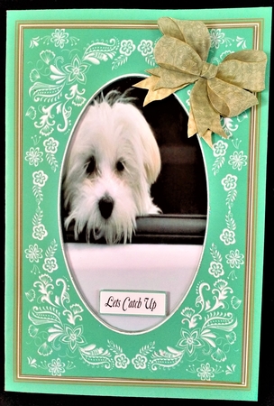 BICHON LETS CATCH UP MULTIPLE SENTIMENTS  by Margarette Blakeborough
