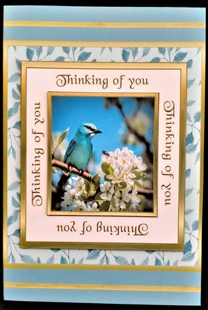 SC Bluebird (Thinking of you) by Margarette Blakeborough