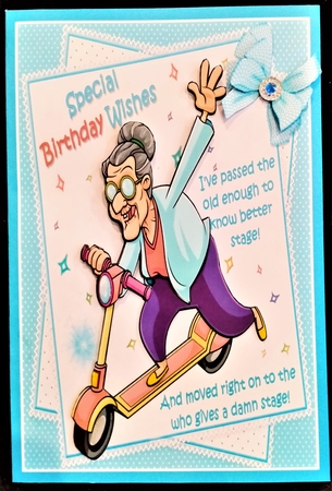 8x8 Sally grows old gracefully mini kit by Margarette Blakeborough