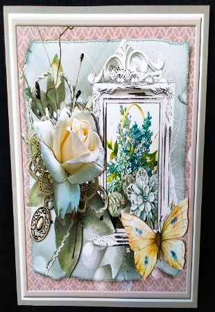 White rose and butterfly 6x6 by Margarette Blakeborough