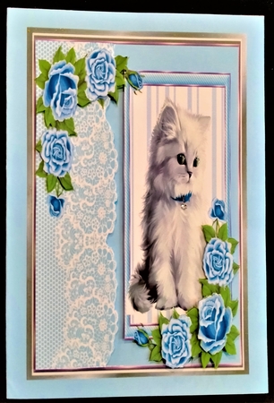 cute white kitten with blue roses and lace 8x8 window card by Margarette Blakeborough