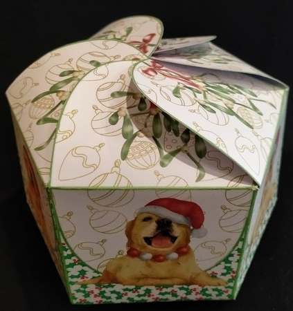 Hexaganol Christmas Box 2 by Margarette Blakeborough