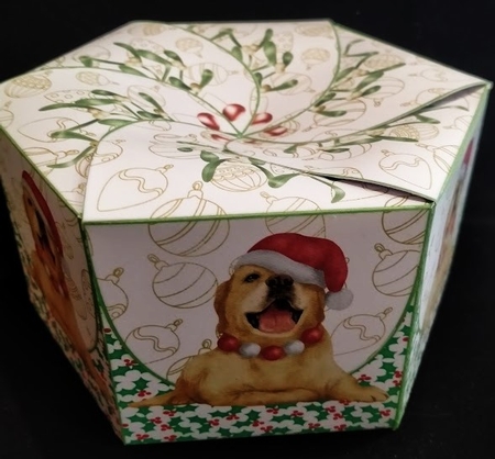 Hexaganol Christmas Box 2 by Margarette Blakeborough