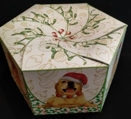 Hexaganol Christmas Box 2 by Margarette Blakeborough