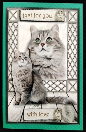 Purrrfect Birthday by Margarette Blakeborough