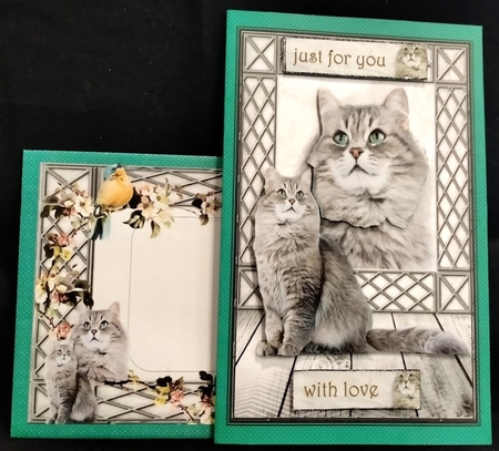 Purrrfect Birthday by Margarette Blakeborough