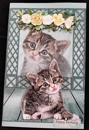  Four Cats Cards A5 Kit by Margarette Blakeborough