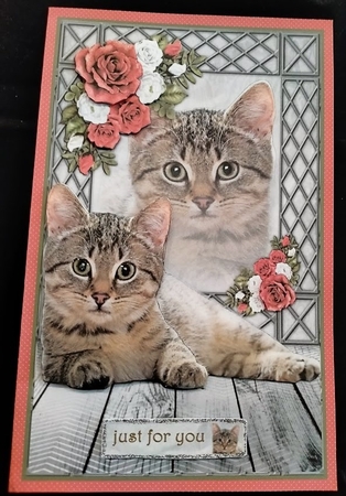 Four Cats Cards A5 Kit by Margarette Blakeborough