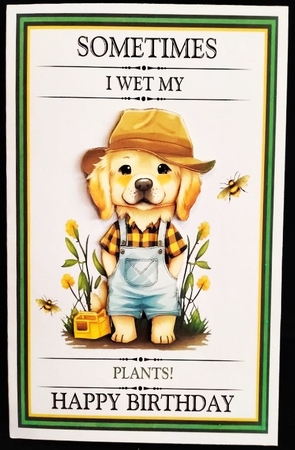 Sometimes I Wet my Plants! by Margarette Blakeborough