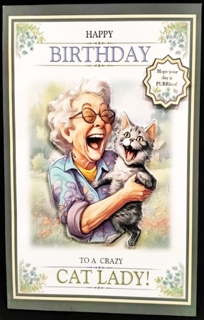 Crazy Cat Lady by Margarette Blakeborough