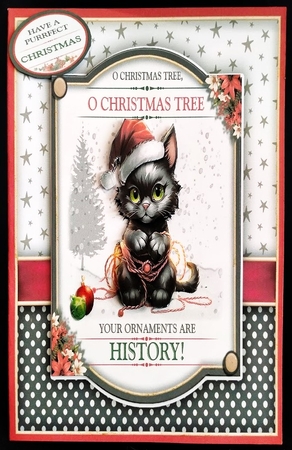 Santa Claws! by Margarette Blakeborough