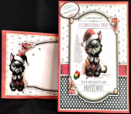 Santa Claws! by Margarette Blakeborough