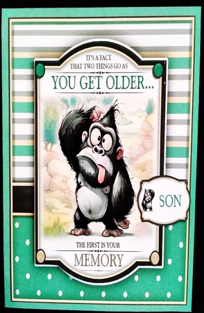 Its Your Birthday Go Ape! by Margarette Blakeborough