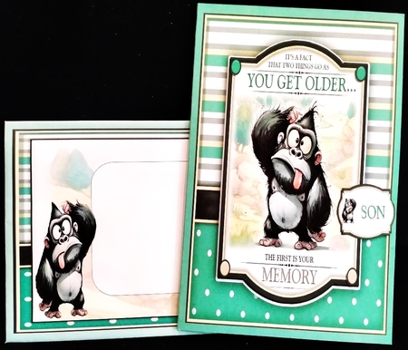 Its Your Birthday Go Ape! by Margarette Blakeborough