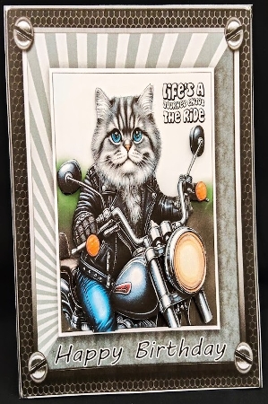 BIKER CAT  by Margarette Blakeborough