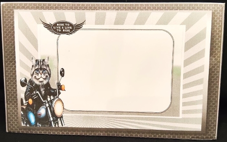 BIKER CAT  by Margarette Blakeborough