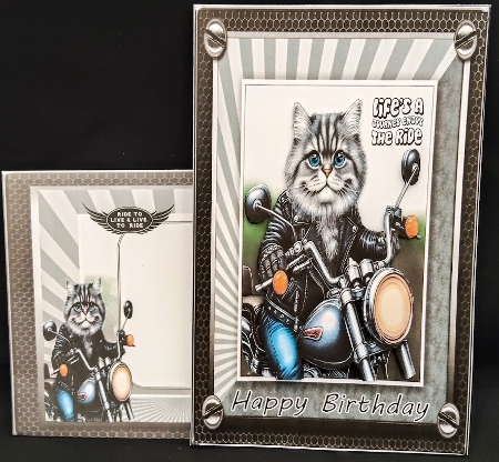 BIKER CAT  by Margarette Blakeborough