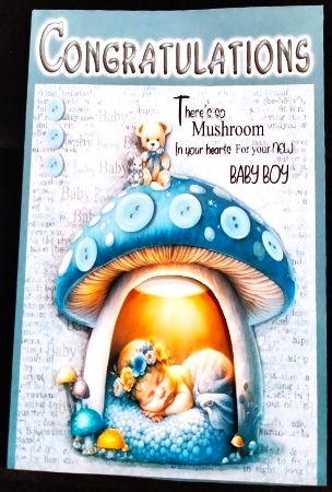 New Baby Boy in Mushroom No.1 by Margarette Blakeborough