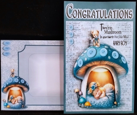 New Baby Boy in Mushroom No.1 by Margarette Blakeborough