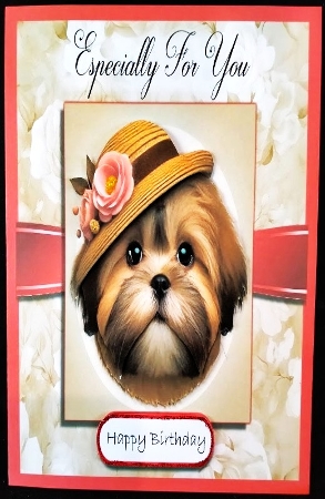 A Cool Dog Wish by Margarette Blakeborough