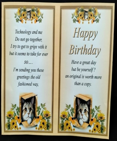 Funny Kitten Quick Card by Margarette Blakeborough