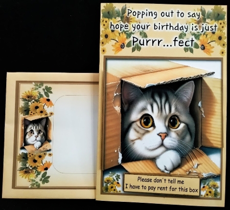 Funny Kitten Quick Card by Margarette Blakeborough