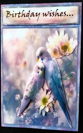 Budgie Snugglers - Mix 4 by Margarette Blakeborough