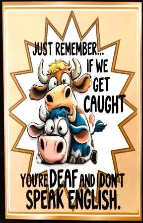 Funky Brown 8X8 Card Front/Topper Cows With Humour by Margarette Blakeborough