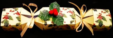 Christmas Cracker (7) by Margarette Blakeborough