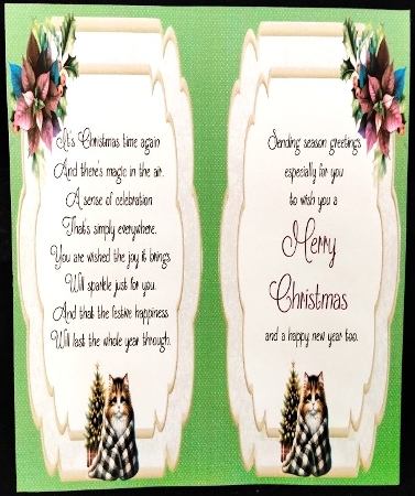 Christmas Paws Cat 3 by Margarette Blakeborough