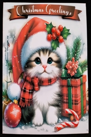 NEW STORY CARD. Fluffy kitten wears Santa hat beside festive Christmas presents decorations by Margarette Blakeborough