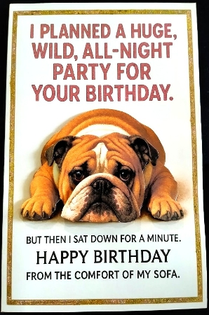 DD FUNNY BIRTHDAY A4 2 by Margarette Blakeborough