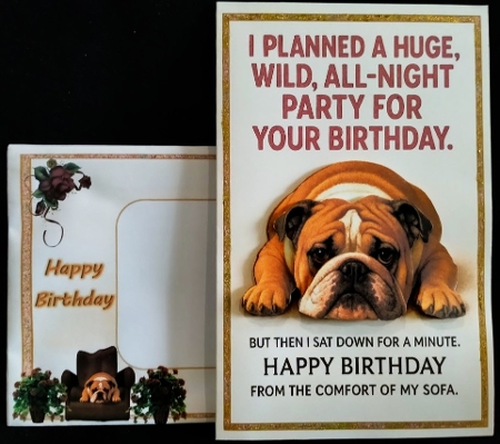 DD FUNNY BIRTHDAY A4 2 by Margarette Blakeborough